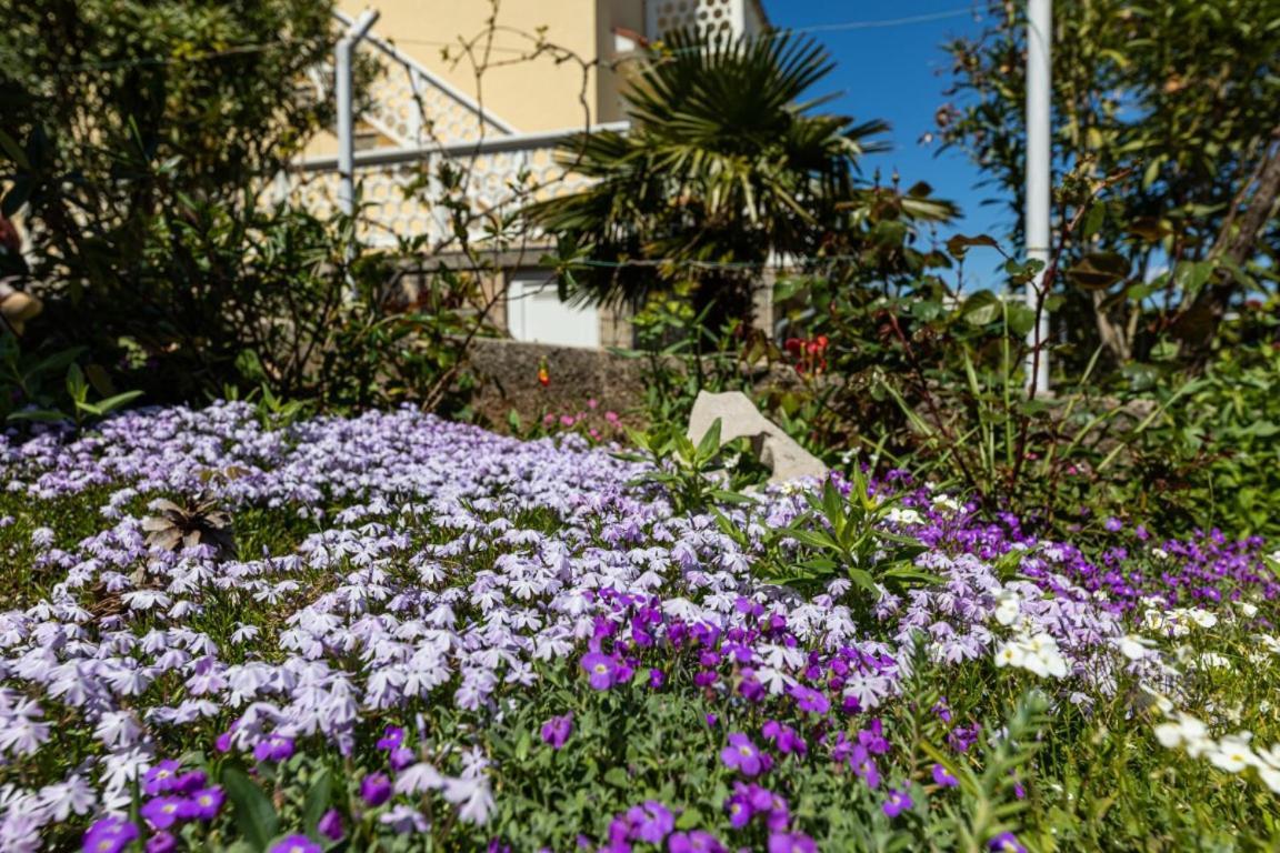 Apartman Grzetic Šilo Buitenkant foto