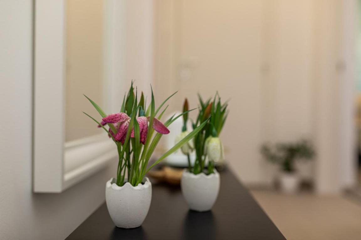 Apartman Grzetic Šilo Buitenkant foto